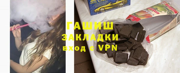индика Краснослободск