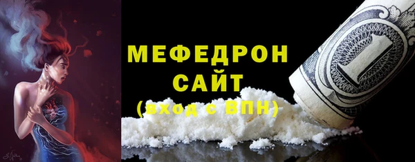 индика Краснослободск