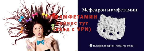 индика Краснослободск