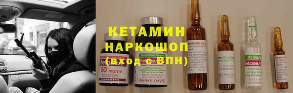 индика Краснослободск