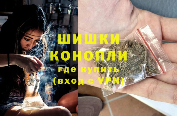 индика Краснослободск