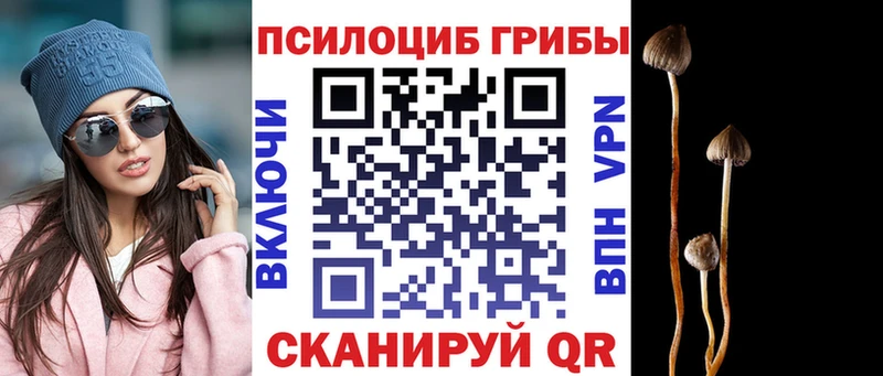Псилоцибиновые грибы GOLDEN TEACHER  нарко площадка официальный сайт  Стерлитамак 