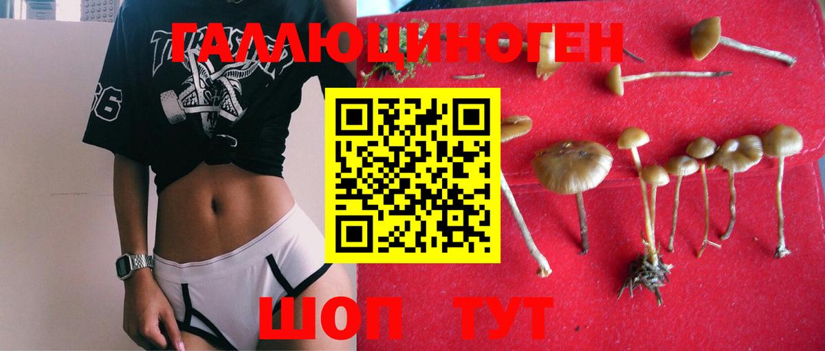 Галлюциногенные грибы Magic Shrooms  Галлюциногенные грибы Psilocybe  Стерлитамак 