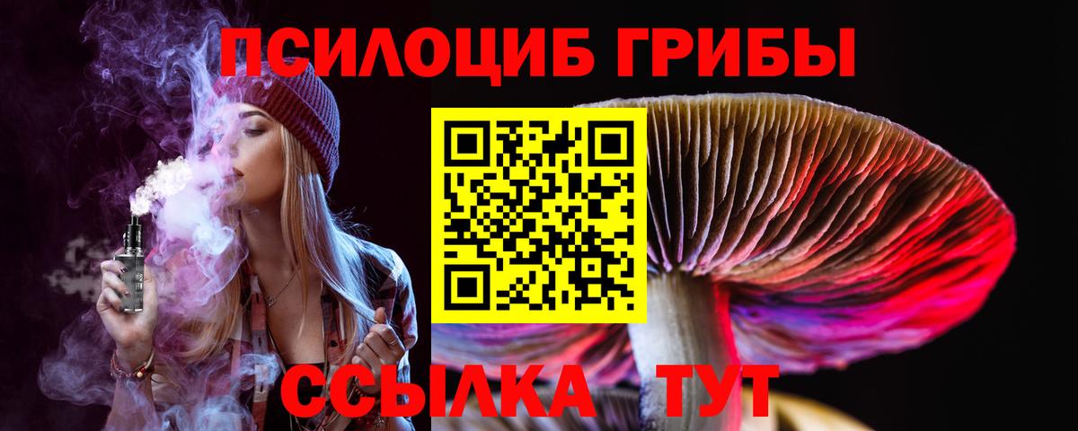 Стерлитамак  Галлюциногенные грибы Cubensis  Вход с VPN 