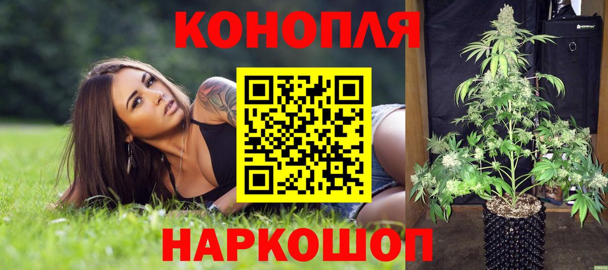 Бошки марихуана сатива  Каннабис конопля  Стерлитамак 